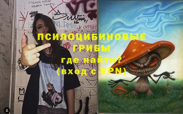 дурь Богородицк